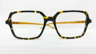 Lunettes Germano Gambini